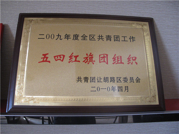 2009年五四红旗团组织.jpg
