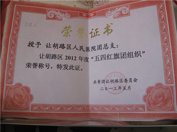 2012五四红旗团组织.jpg