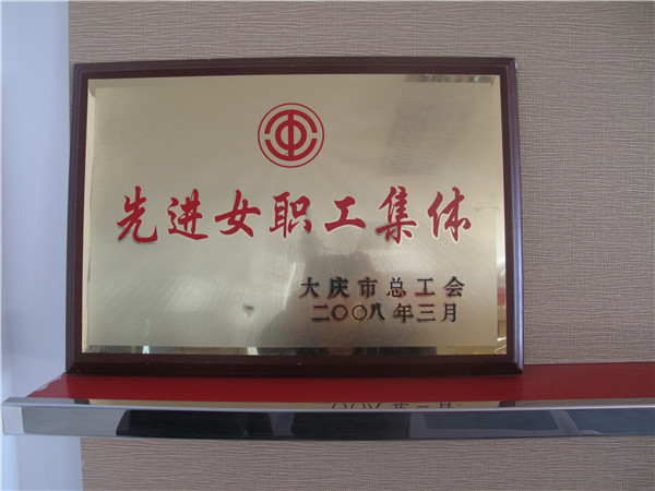 2008年女职工先进集体.jpg