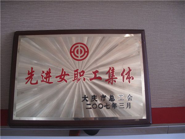 2007年先进女职工集体.jpg